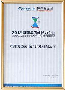 2012河南年度成长力企业 经济视点报 